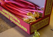 Ротвелл — містечко, в якому добували вугілля та вирощували ревінь