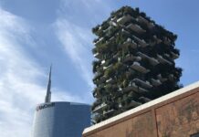 Найпопулярніші рослини, що ростуть у місті Лідс