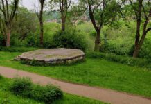 Вудхаус-Ридж — смуга лісу на південно-західному схилі долини Мінвуд