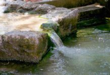 Цілющі джерела регіону: криниця Святого Петра та інші води Лідса