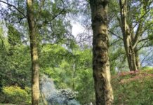 Golden Acre Park
