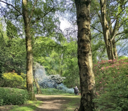 Golden Acre Park