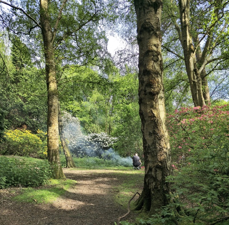 Golden Acre Park