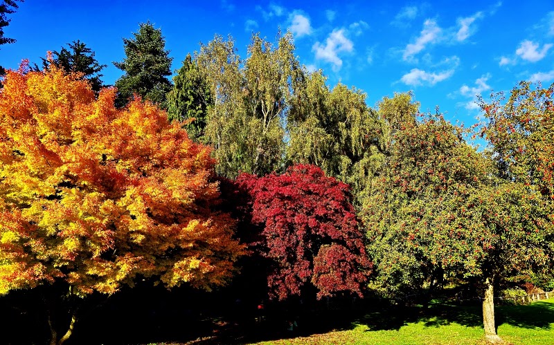 Golden Acre Park