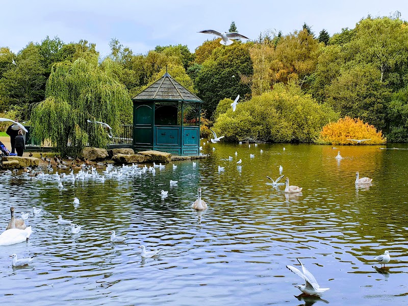 Golden Acre Park