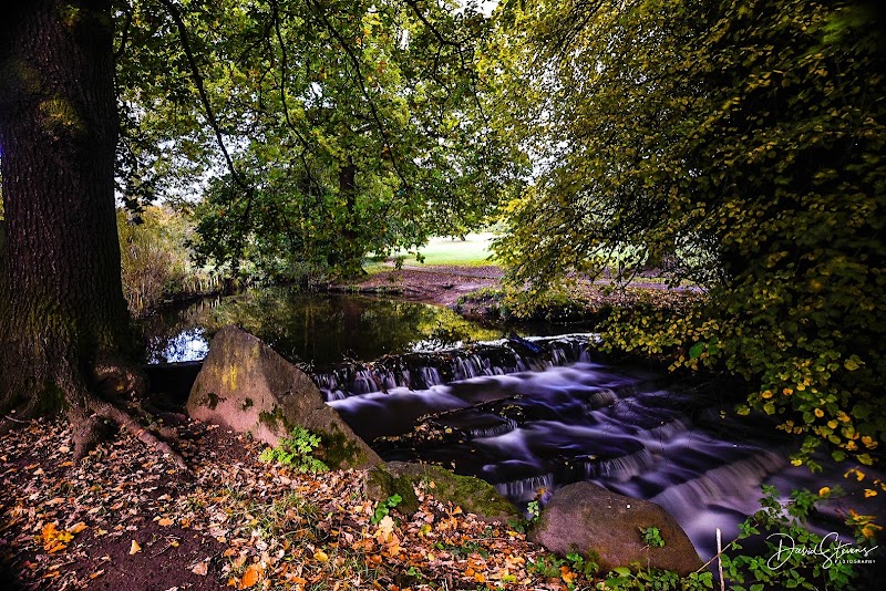 Meanwood Park