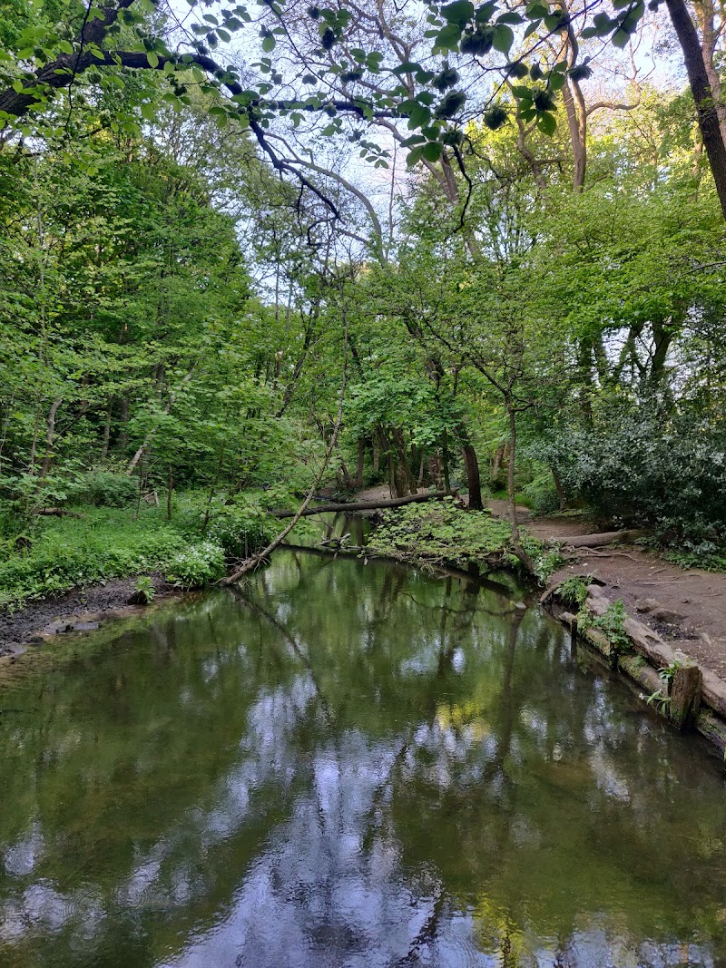 Meanwood Park