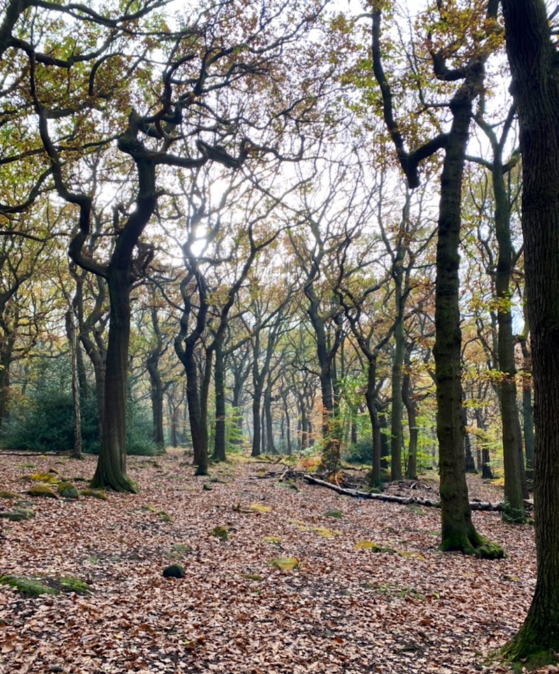 Meanwood Park