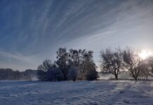 Middleton Park