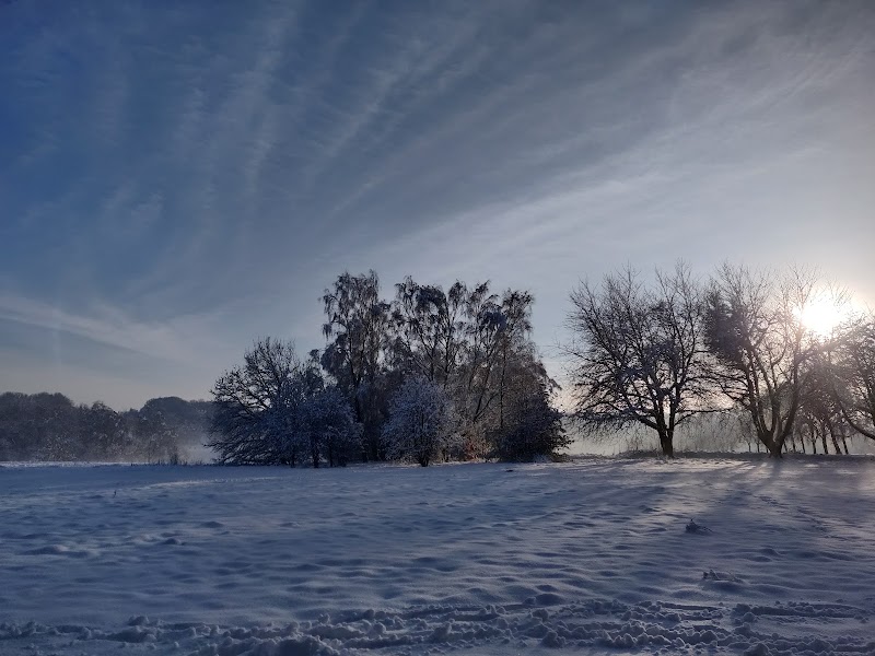 Middleton Park