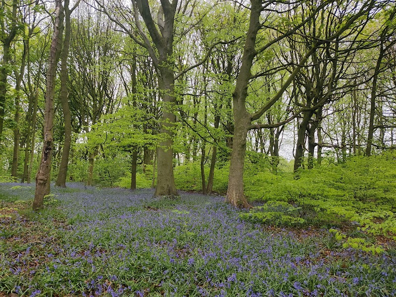 Middleton Park