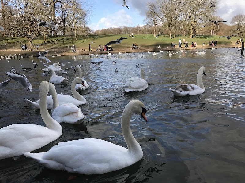 Roundhay Park