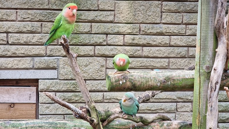 Springhead Park