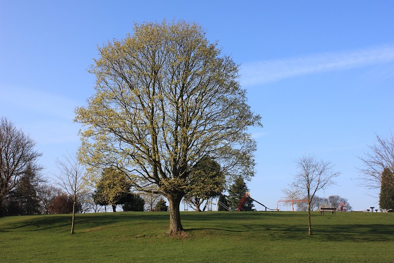 Springhead Park