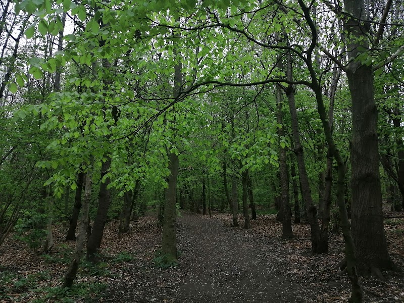 Springhead Park